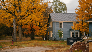 How to Transition Your Garden Between Seasons