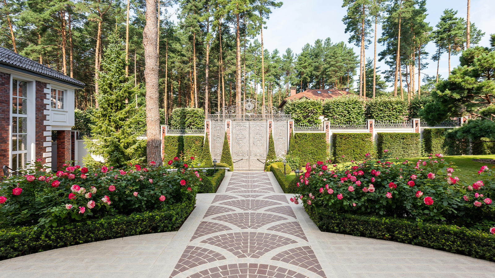 Summer Lawn Care Tips to Keep Your Grass Green